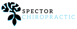 Spector Chiropractic, PLLC